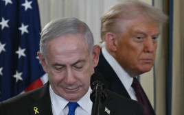 דונלד טראמפ ובנימין נתניהו (צילום: gettyimages)