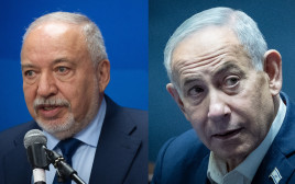 אביגדור ליברמן, בנימין נתניהו (צילום: יונתן זינדל, פלאש 90)