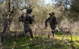 כוח צה"ל בלבנון. ישראל יכולה להרוויח, אך ישנם ויתוריםיד (צילום: דובר צה"ל)