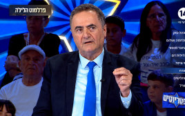 ישראל כ"ץ בתוכנית "הפטריוטים"  (צילום: צילום מסך ערוץ 14)