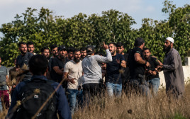 הפיגוע בכפר תל (צילום: צילום מסך,עיבוד מחשב: מעריב אונליין)
