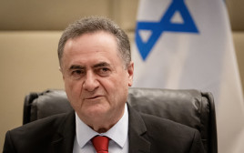 ישראל כ"ץ (צילום: gettyimages)