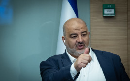 מנסור עבאס (צילום: יונתן זינדל פלאש 90)