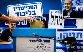 הפריימריז בליכוד (צילום: פלאש 90,עיבוד מחשב: מעריב אונליין)