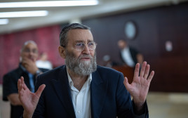משה גפני (צילום: יונתן זינדל פלאש 90)