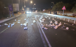 אבנים על הכביש (צילום: שימוש לפי סעיף 27א')