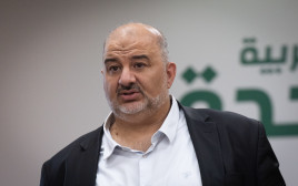 מנסור עבאס (צילום: יונתן זינדל פלאש 90)