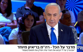 בנימין נתניהו בתוכנית "הפטריוטים" (צילום: צילום מסך ערוץ 14)