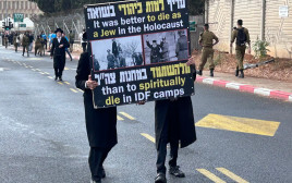 שלט מחריד בהפגנת החרדים נגד הגיוס לצה"ל (צילום: אבשלום ששוני)