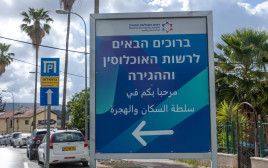 רשות האוכלוסין וההגירה (צילום: יוסי אלוני פלאש 90)