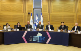 ועדת הבחירות לכנסת (צילום: מארק ישראל סלם)