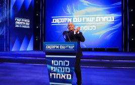 גדי איזנקוט  (צילום: אנה ברסקי)
