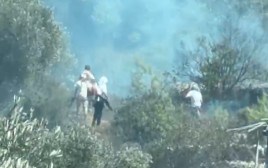 אלימות מתנחלים (צילום: צילום מסך,שימוש לפי סעיף 27א')