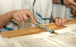 תמונה לטור של כרמית (צילום: יהב גמליאל פלאש 90)