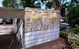סוכה בבניין מגורים בחולון (צילום: אבשלום ששוני)