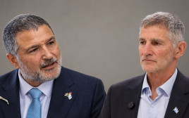 יאיר גולן, דוד זיני (צילום: מרק ישראל סלם,חיים גולדברג פלאש 90)