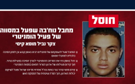 המחבל שחוסל (צילום: דובר צה"ל)