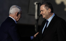 בנימין נתניהו וישראל כ"ץ (צילום: צפריר אבאיוף פלאש 90)
