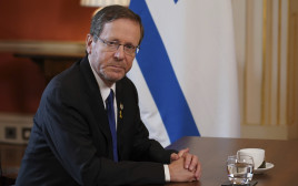 יצחק הרצוג, נשיא המדינה (צילום: Alberto Pezzali / POOL / AFP via Getty Images)