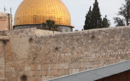 הר הבית, ירושלים (צילום: מרק ישראל סלם)