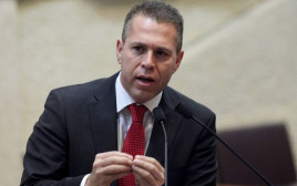 השר גלעד ארדן (צילום: פלאש 90)