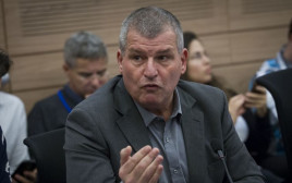ח"כ מיקי רוזנטל (צילום: פלאש 90)