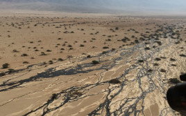 דליפת הנפט בעברונה (צילום: המשרד להגנת הסביבה)