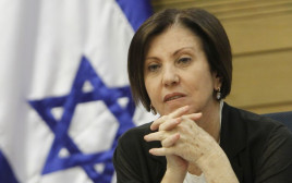 זהבה גלאון (צילום: מרים אלסטר, פלאש 90)
