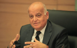 השופט סאלים ג'ובראן (צילום: פלאש 90)