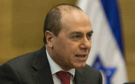 סילבן שלום (צילום: פלאש 90)