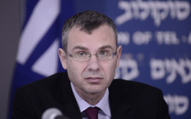 יריב לוין (צילום: פלאש 90)