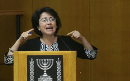 חנין זועבי נואמת בוועדת הבחירות (צילום: מרק ישראל סלם)