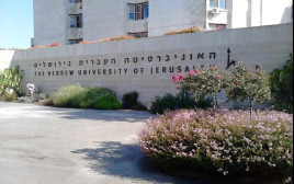 קמפוס הר הצופים של האוניבסיטה העברית (צילום: BlueHorizon, CC BY-SA 3.0)