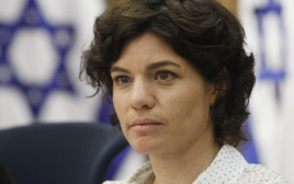 תמר זנדברג (צילום: מרים אלסטר, פלאש 90)