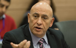 ח"כ באסל גטאס (צילום: מרים אלסטר, פלאש 90)