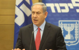 ראש הממשלה בנימין נתניהו בישיבת סיעת הליכוד (צילום: מרק ישראל סלם)