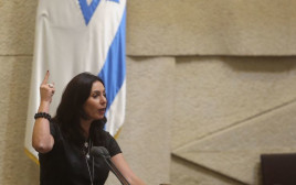 שרת התרבות מירי רגב במליאה (צילום: מרק ישראל סלם)