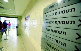 לשכת התעסוקה בירושלים (צילום: יוסי זמיר פלאש 90)
