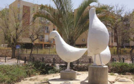 אופקים (צילום: אריאל בשור)