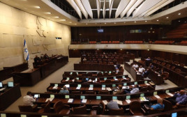 מליאת הכנסת במהלך דיון  (צילום: מרק ישראל סלם)