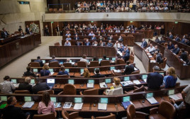 הכנסת (צילום: הדס פרוש , פלאש 90)
