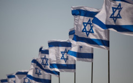 דגלי ישראל (צילום: יונתן זינדל, פלאש 90)