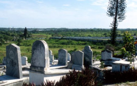 בית עלמין (צילום: פלאש 90)
