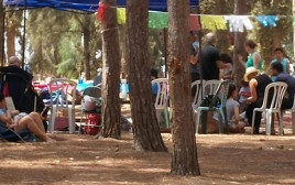 יער בן שמן  (צילום: לאוניד ליברשטיין, קק"ל)