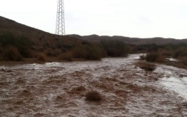 שיטפונות בדרום הארץ (צילום: יובל שגיא, רשות הטבע והגנים)
