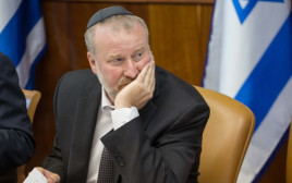 אביחי מנדלבליט (צילום: אמיל סלמן, פלאש 90)