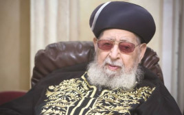 הרב עובדיה יוסף (צילום: יונתן זינדל, פלאש 90)