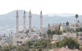 אבו גוש (צילום: דני מרון)