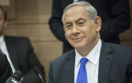 ראש הממשלה בנימין נתניהו בוועדת חוץ וביטחון (צילום: הדס פרוש , פלאש 90)