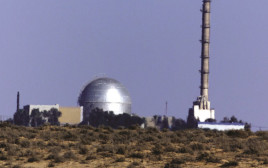 הכור בדימונה (צילום: רויטרס)